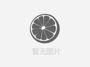 【人人講安全，個個會應急——暢通生命通道 】河南鴻宸積極參加安陽市2024年“安全宣傳咨詢日”活動